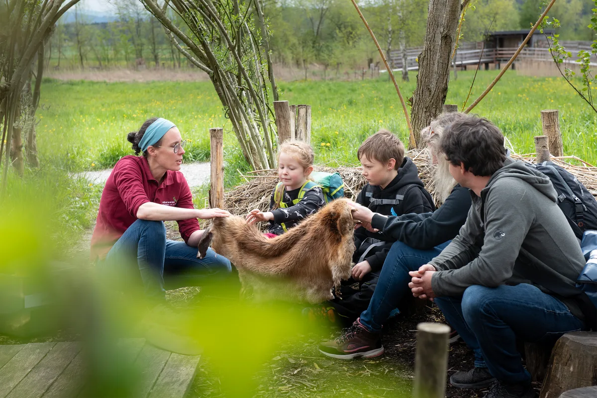 Aufnahme eines Kurses in der Silberweide – Kinder berühren ein Biberfell
